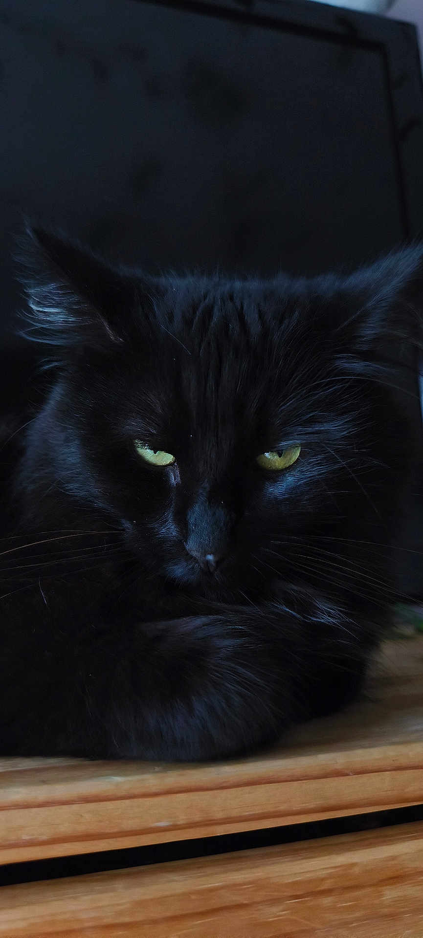 Mystic