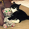 Bowie is registered to the contest to win money with this photo: cat, stuffed_toy, plushie, black_and_white, couch, sofa, indoor, sitting, lying_down, hugging, animal, pet, toy, green_eyes, whiskers, ears, tail, pillow, fabric, portrait