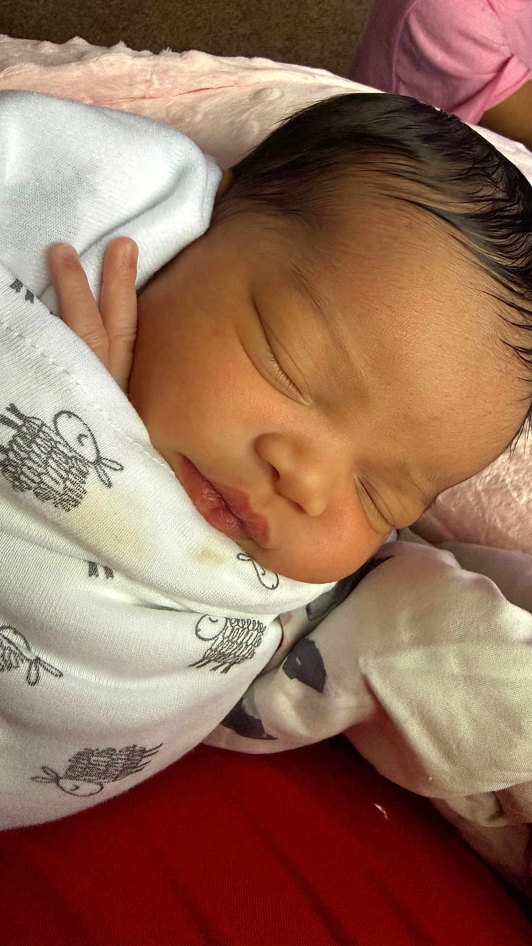 Rayelle is registered to the contest to win money with this photo: newborn, baby, sleeping, wrapped, blanket, infant, closeup, peaceful, tiny_hand, face, soft, cute, child, indoors, comfort, rest, skin, head, clothing, person