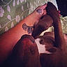 Geronimo is registered to the contest to win money with this photo: