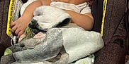 Julius is registered to the contest to win money with this photo: baby, blanket, car_seat, child, child_safety, comfort, cozy, cute, indoors, infant, nap, peaceful, person, rest, seat, sleeping, small, soft, toddler, wrapped