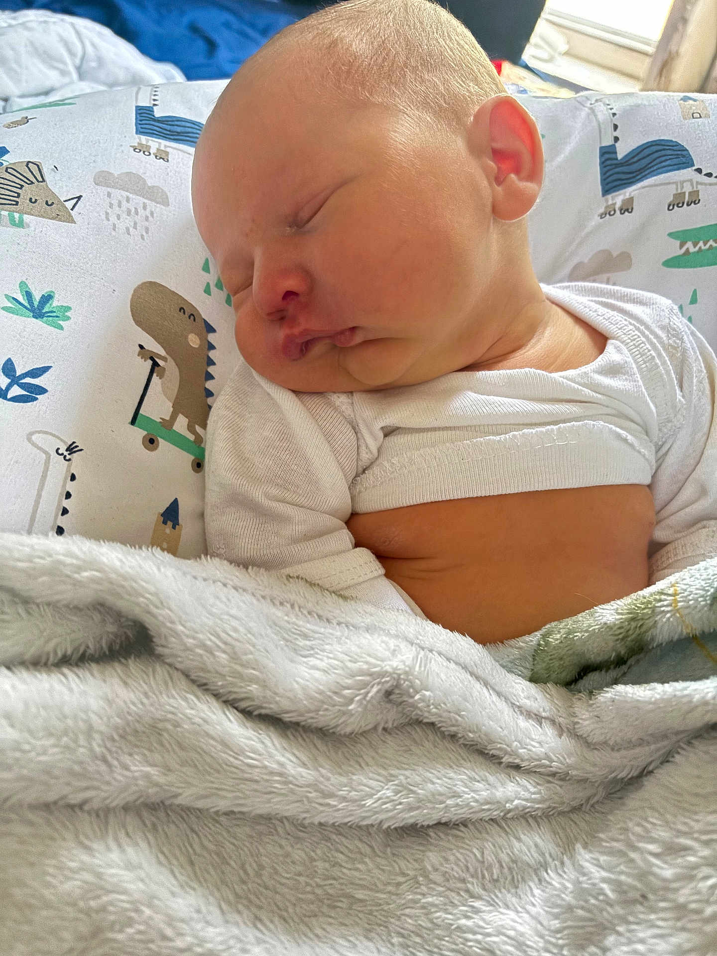 Julius joined the competition — help win amazing prizes! baby, sleeping, blanket, pillow, dinosaur_print, infant, cozy, white_clothing, closeup, child, soft_fabric, peaceful, cute, indoors, portrait, head, face, skin, resting, nap