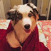 Bruschi is registered to the contest to win money with this photo: