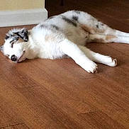 Bruschi is registered to the contest to win money with this photo:
