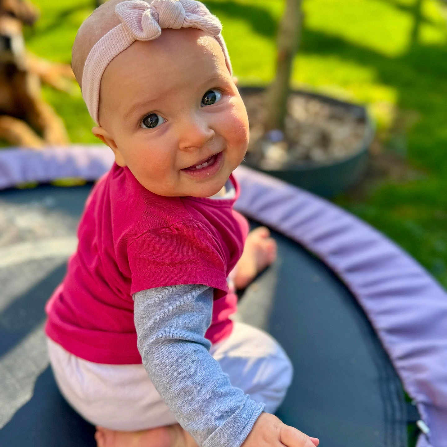 Ambre participe au concours pour gagner de l'argent avec cette photo : baby, backyard, clothing, face, grass, happy, hat, head, nature, outdoorplayarea, outdoors, pants, person, photography, plant, playarea, portrait, pottedplant, sitting, smile