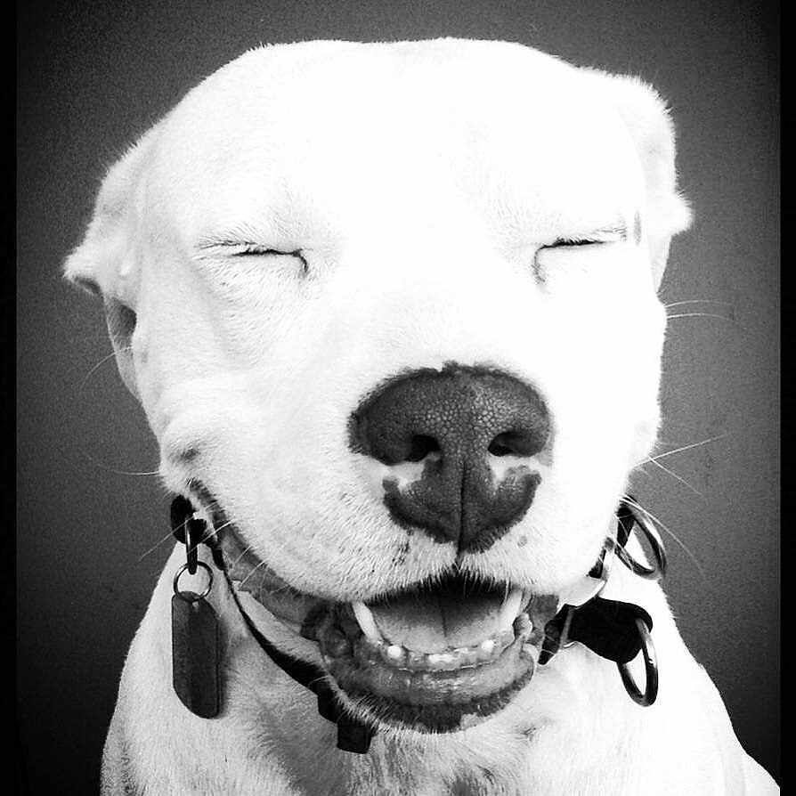 Maxie is registered to the contest to win money with this photo: