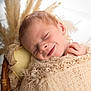 baby, sleeping, blanket, knitwear, lace, pillow, pampas_grass, chair, soft_texture, portrait, infant, peaceful, cozy, closeup, head, face, resting, warm_colors, natural_light, indoor