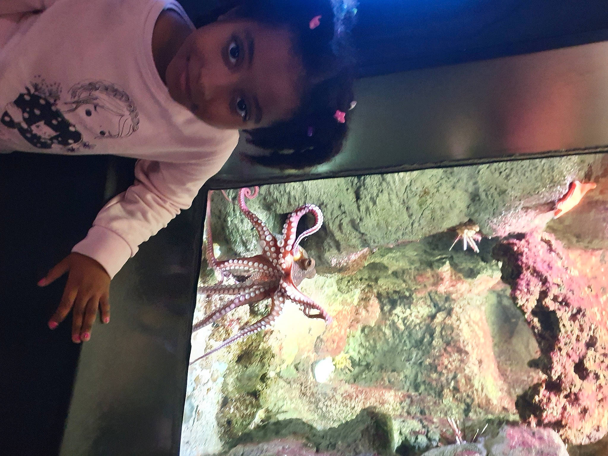 Aby a rejoint le concours — aidez-le/la à gagner de superbes lots ! cg_artwork, child, coral, coral_reef, eyewear, flash_photography, fun, glass, grass, joy, leisure, marine_biology, marine_invertebrates, person, reef, rock, soil, stony_coral, toddler, underwater