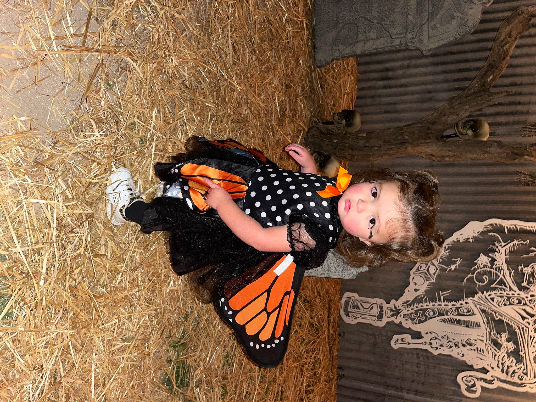 Delaney is registered to the contest to win money with this photo: baby, boot, child, dress, flash_photography, flooring, fun, grass, happy, human_body, human_leg, leisure, pattern, people_in_nature, person, sitting, soil, thigh, tints_and_shades, toddler