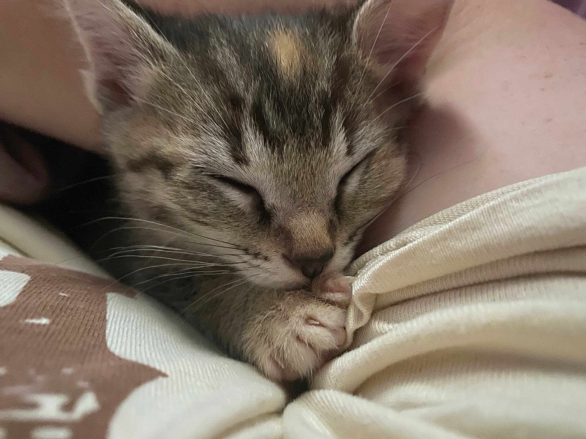 Lucy