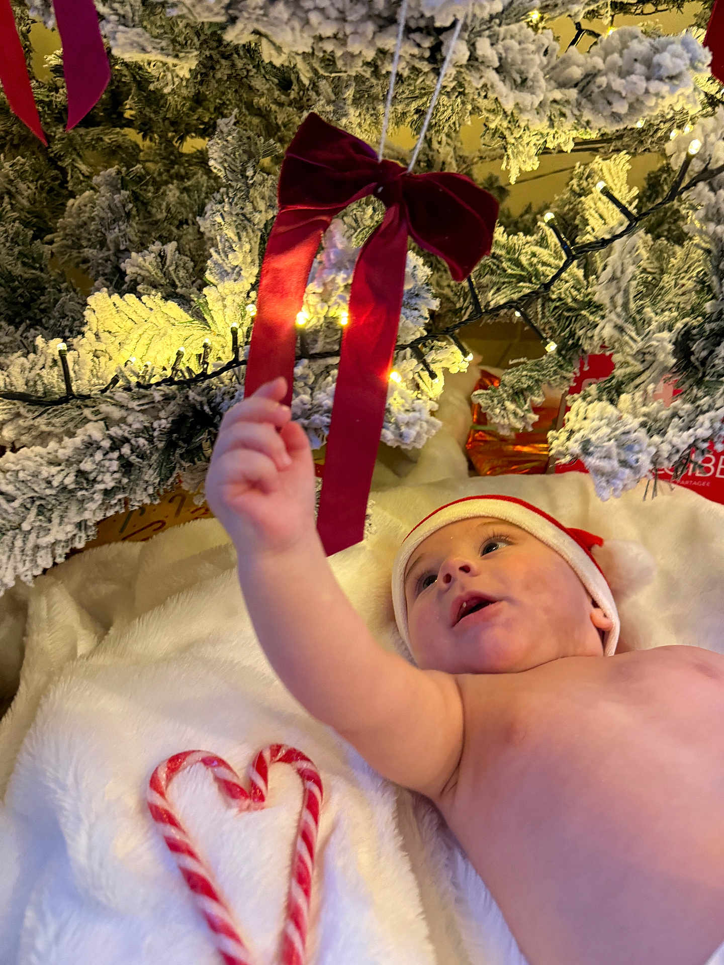 Taho a rejoint le concours — aidez-le/la à gagner de superbes lots ! baby, santa_hat, christmas_tree, red_bow, candy_cane, heart_shape, blanket, holiday, festive, lights, decoration, snow_flocked_tree, infant, reaching_hand, indoors, cute, celebration, christmas, soft_texture, child