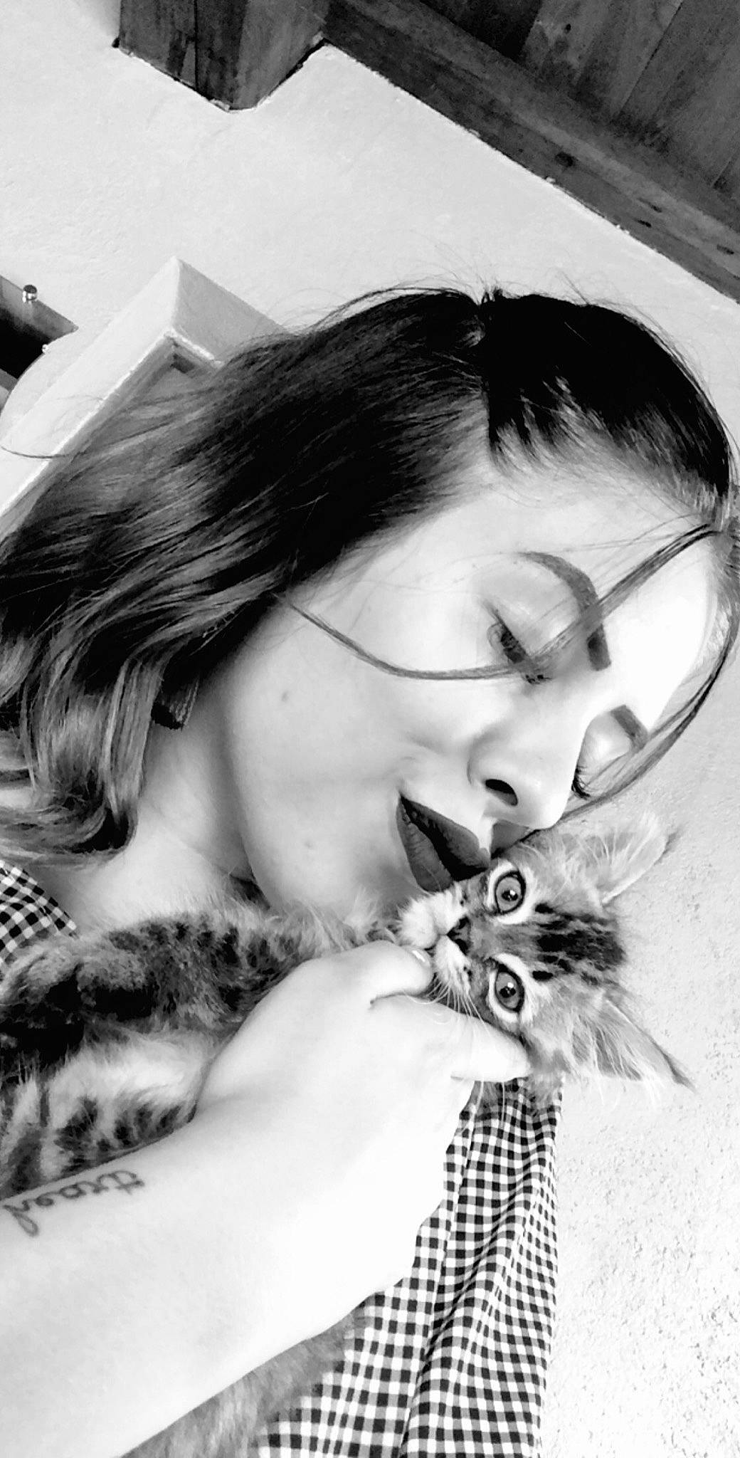 Eiko participe au concours pour gagner de l'argent avec cette photo : beauty, black_and_white, cat, ear, eye, eyebrow, eyelash, eyewear, face, forehead, hair, jaw, lip, monochrome, monochrome_photography, mouth, neck, nose, photography, whiskers