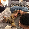 Sugar is registered to the contest to win money with this photo: cat, tabby_cat, person, curly_hair, bed, pillow, blanket, arm, stretching, indoor, window, lamp, nightstand, patterned_bedding, gray_bedding, hand, relaxation, cozy, light, domestic