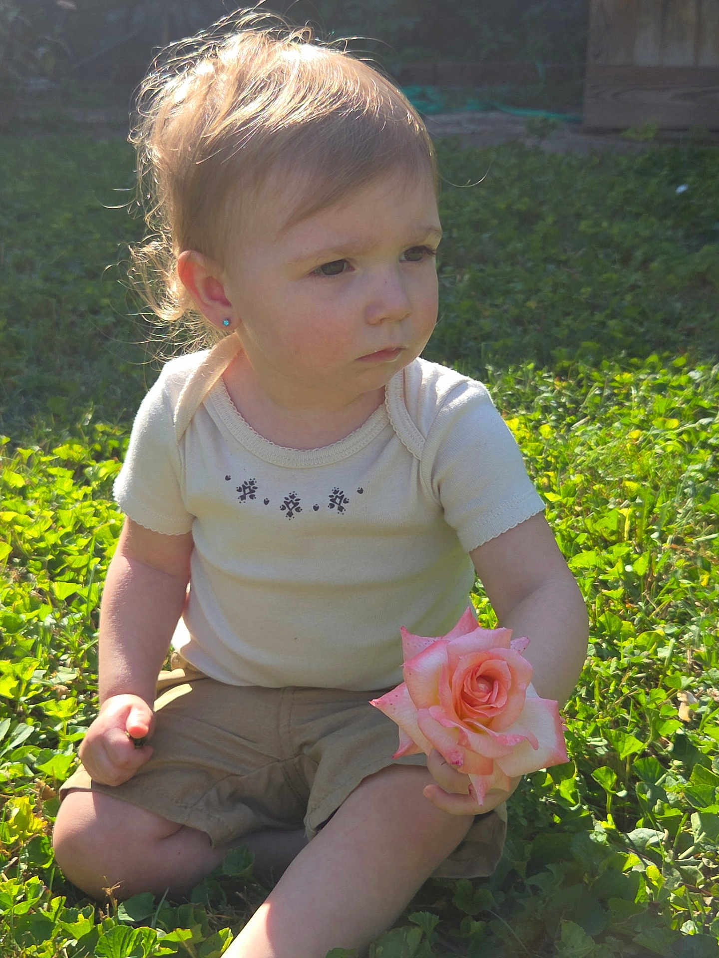 Dani is registered to the contest to win money with this photo: toddler, child, rose, flower, grass, outdoor, sunlight, greenery, shorts, shirt, earrings, nature, sitting, young_child, daylight, portrait, cute, serious, holding, plant
