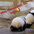 Sandrine B.
