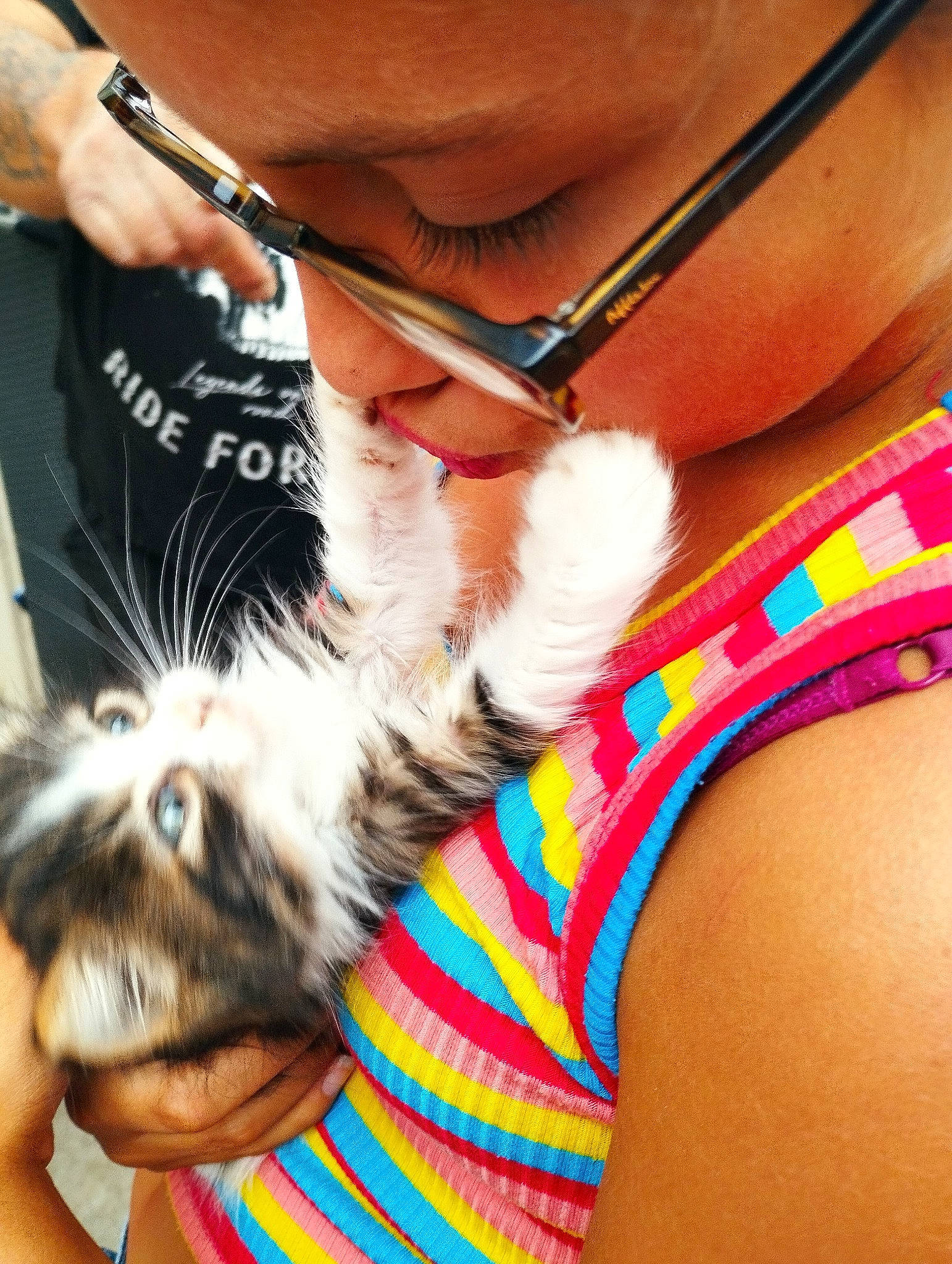 Millie participe au concours pour gagner de l'argent avec cette photo : beard, chest, cool, eyewear, felidae, finger, foot, hand, human_leg, lap, leg, nail, neck, skin, thigh, thumb, undergarment, vision_care, whiskers, wrist