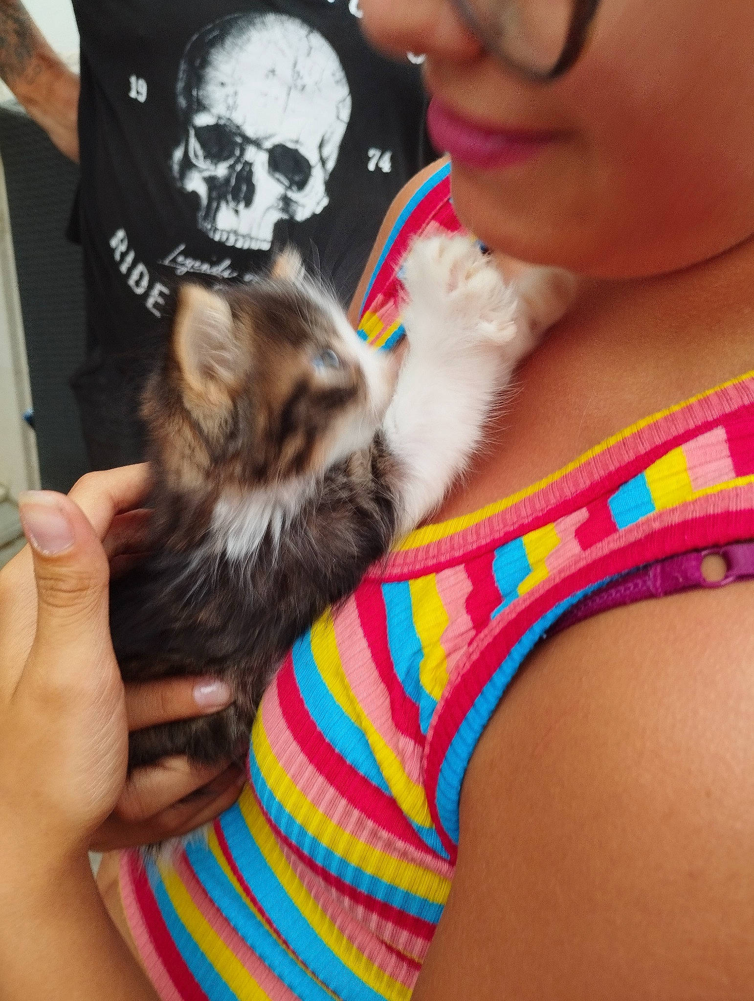 Millie participe au concours pour gagner de l'argent avec cette photo : arm, chest, companion_dog, cool, eyewear, fawn, felidae, finger, glasses, hand, mammal, nail, organ, shoulder, temporary_tattoo, textile, thigh, trunk, vertebrate, vision_care