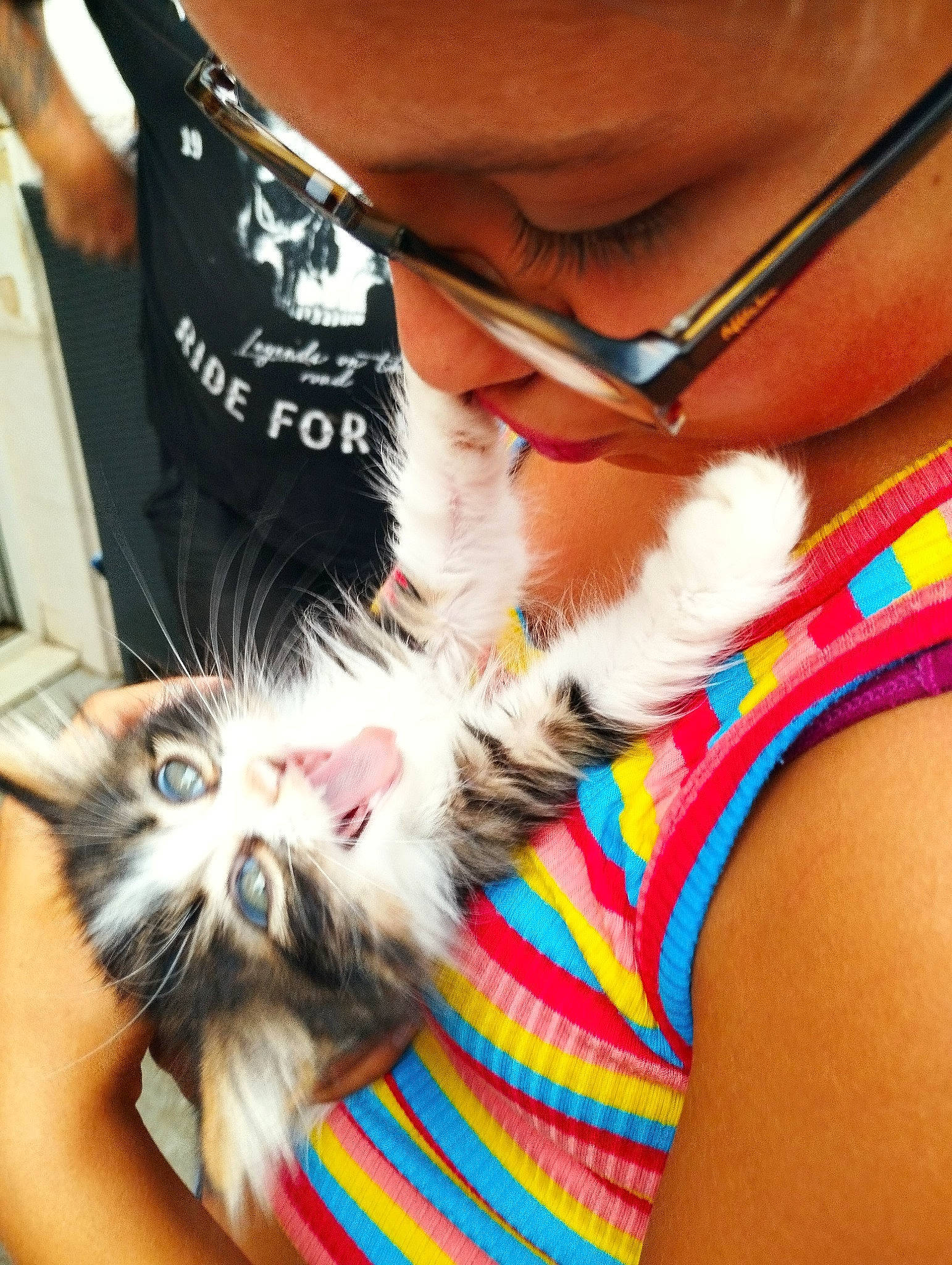 Millie a rejoint le concours — aidez-le/la à gagner de superbes lots ! carnivore, cat, companion_dog, eyewear, felidae, finger, foot, gesture, hand, human_leg, lap, leg, mammal, nail, small_to_medium_sized_cats, sunglasses, thigh, thumb, whiskers, wrist