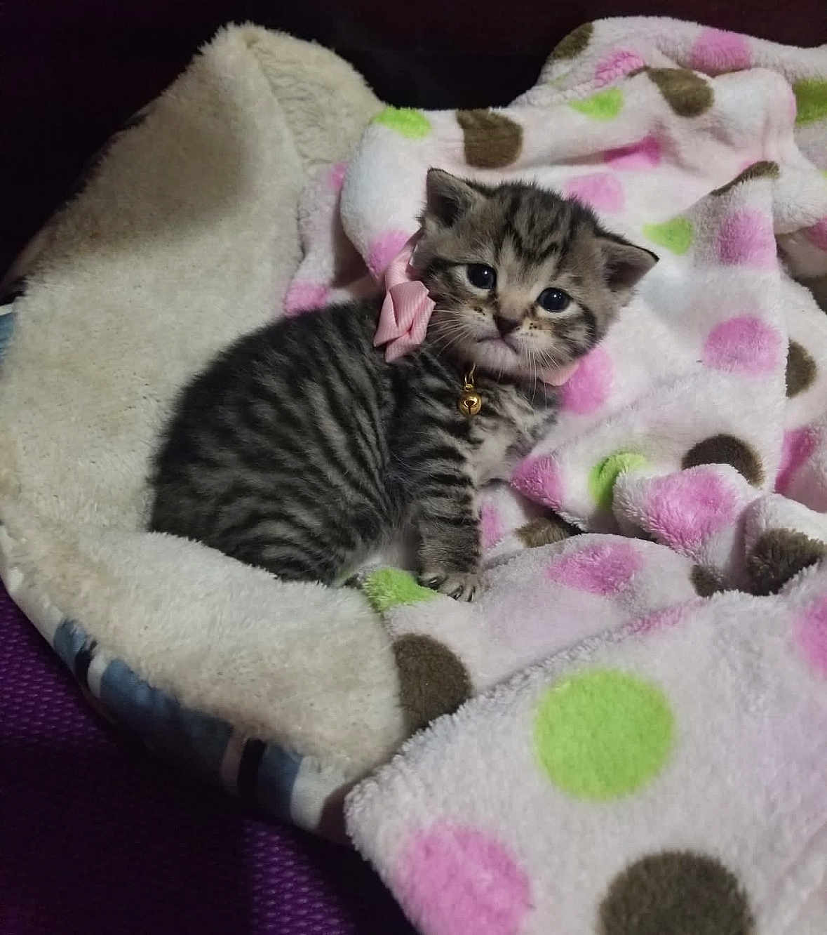 Kira