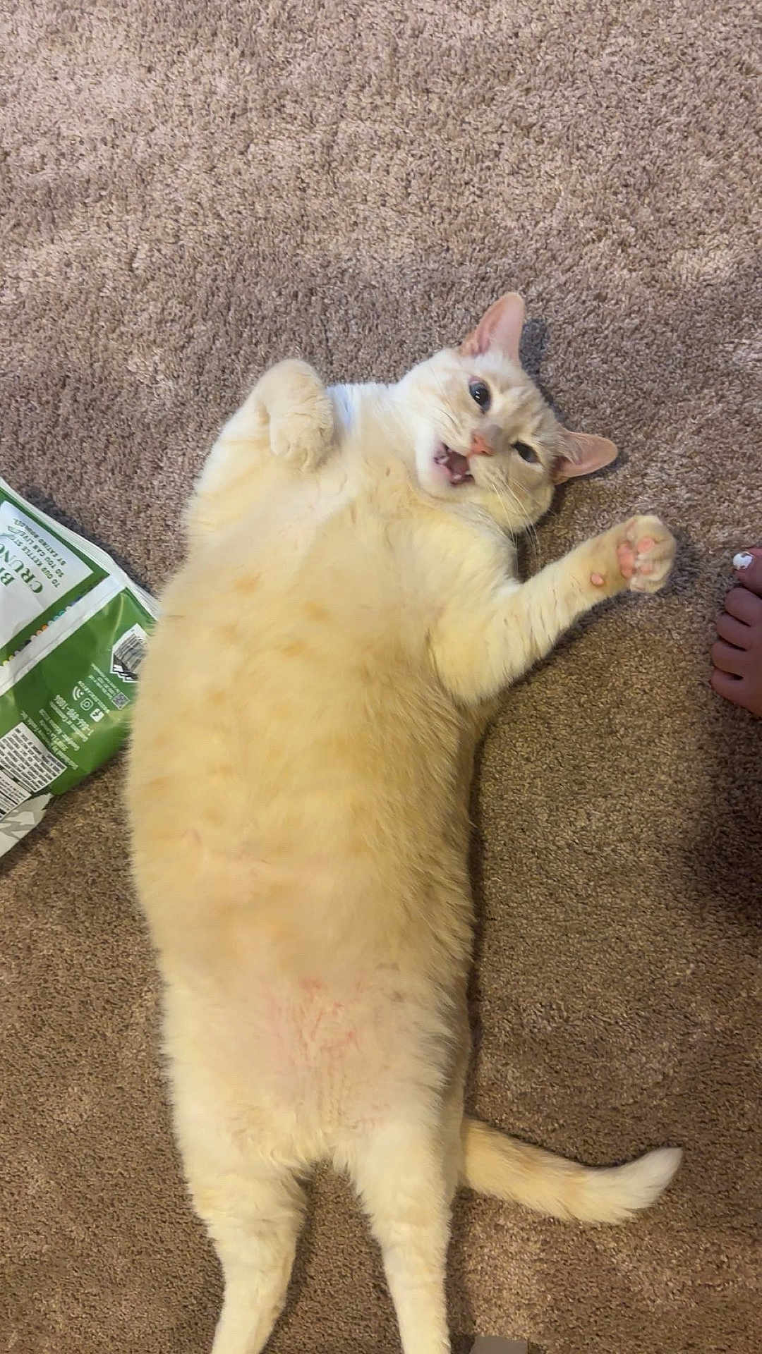 Peanut