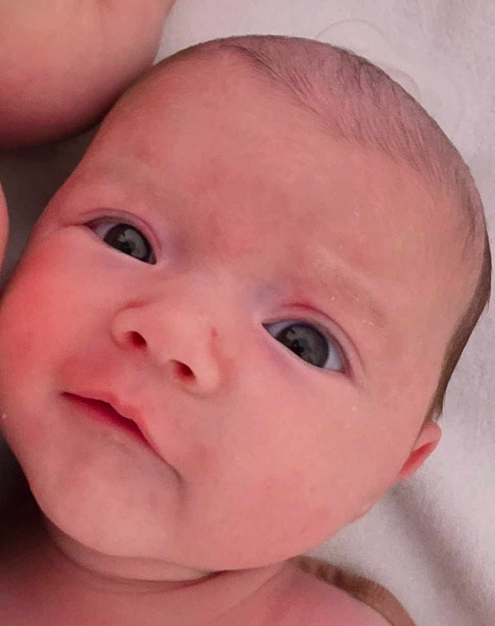 Milena Nayla participe au concours pour gagner de l'argent avec cette photo : baby, newborn, infant, face, eyes, cheeks, mouth, nose, forehead, ear, closeup, portrait, lying_down, blanket, bedding, skin, gaze, expression, soft_light, cute