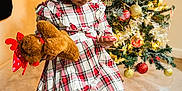 Xianah is registered to the contest to win money with this photo: child, girl, plaid_dress, white_bow, braided_hair, plush_toy, reindeer, candy_cane, christmas_tree, ornaments, holiday_lights, festive, stool, white_tights, white_shoes, indoors, holiday_decor, floor, thoughtful, celebration