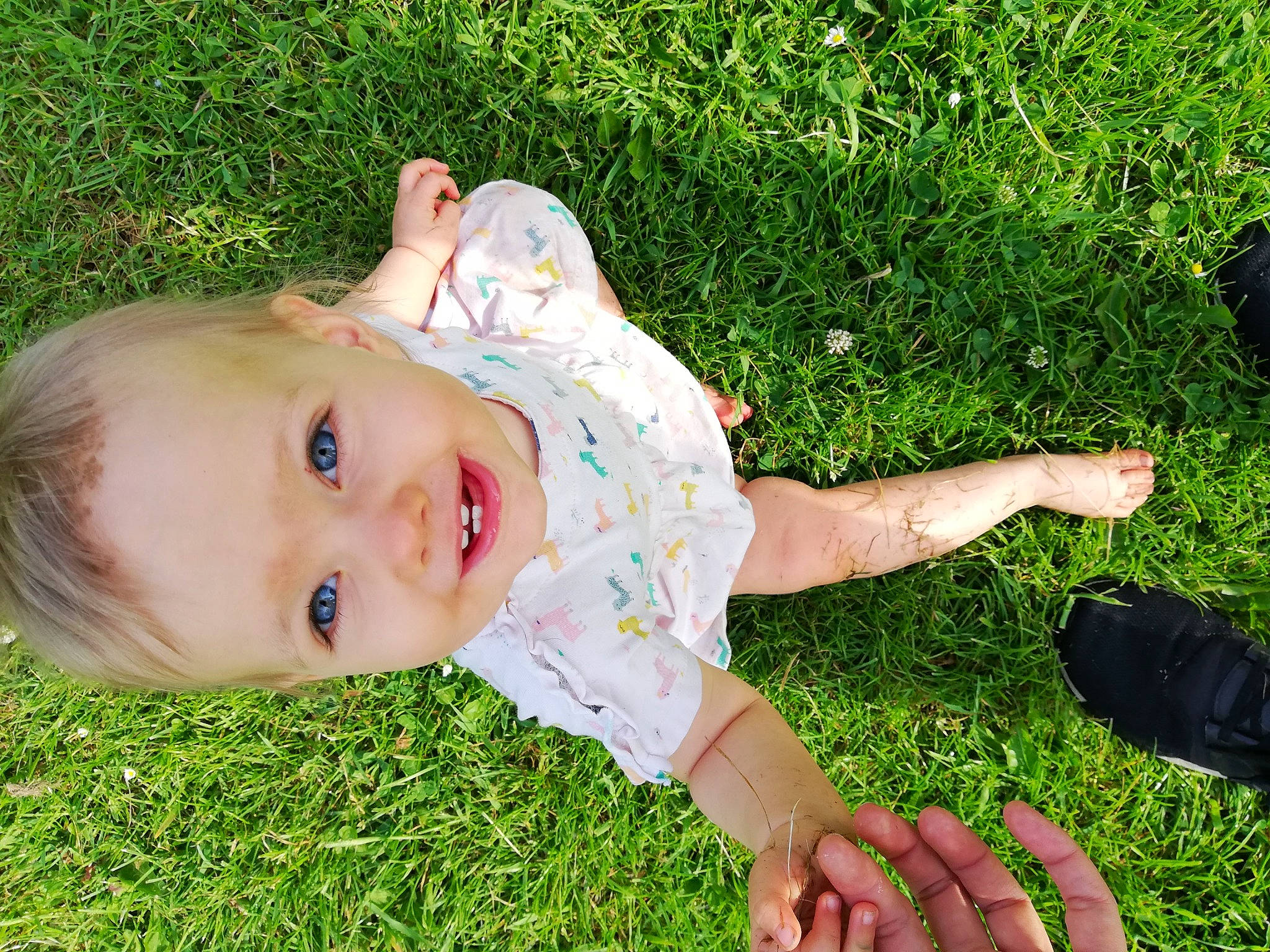 Victoire a rejoint le concours — aidez-le/la à gagner de superbes lots ! baby, baby_toddler_clothing, botany, foot, fun, grass, grass_family, grassland, green, happy, hat, joy, lawn, leaf, leisure, meadow, people_in_nature, person, sitting, skin