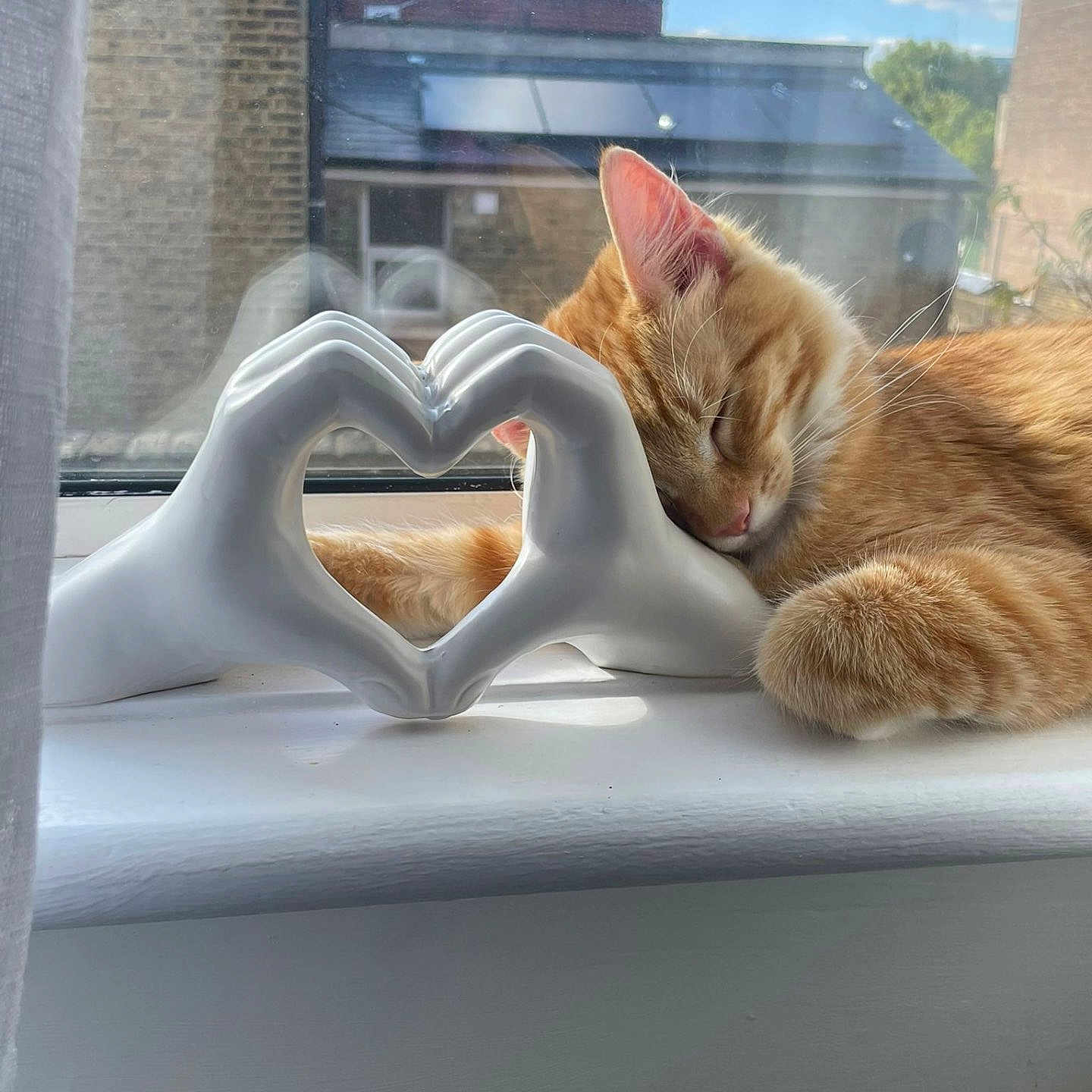 Lylo Phillips joined the competition — help win amazing prizes! animal, cat, ceramic_hands, close_up, cozy, cute, feline, ginger_cat, heart_shape, indoor, orange_fur, peaceful, pet, relaxation, resting, shadow, sleeping, sunlight, window, windowsill