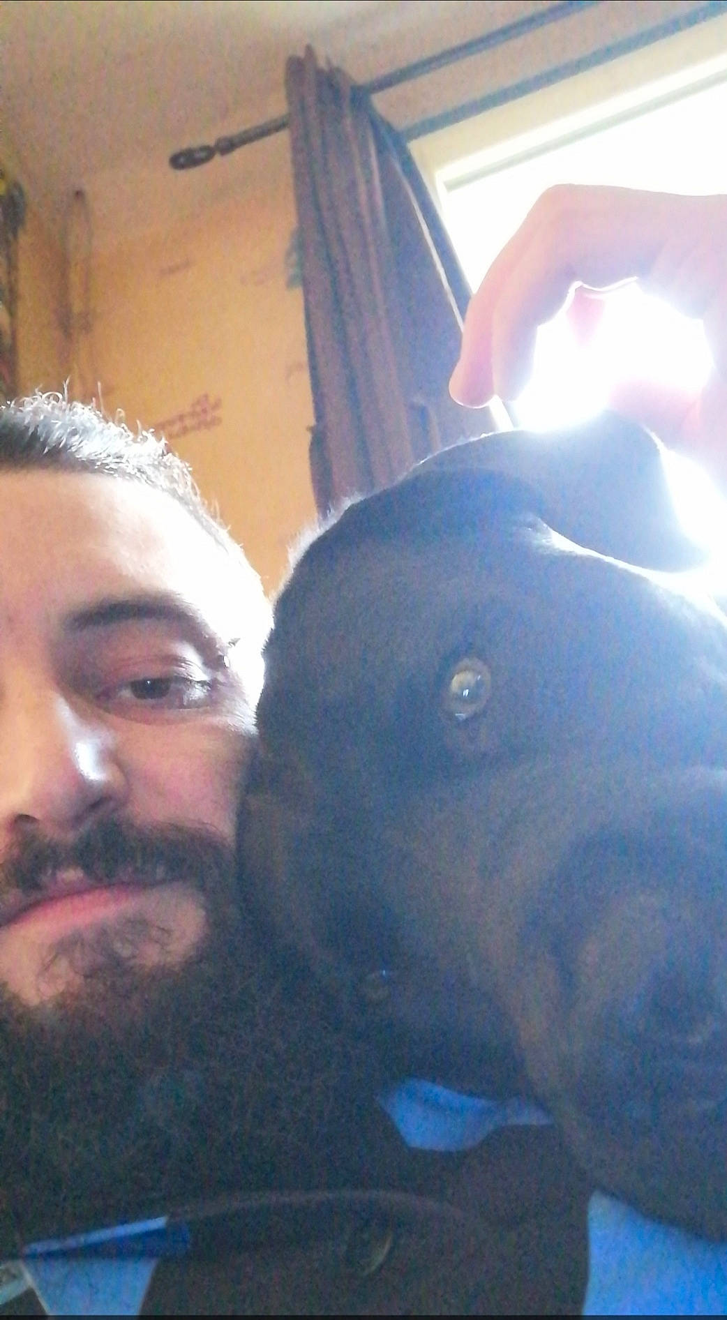 Banner a rejoint le concours — aidez-le/la à gagner de superbes lots ! beard, black_hair, canidae, carnivore, comfort, companion_dog, curtain, dog, dog_breed, eyebrow, facial_hair, human, interaction, iris, mammal, moustache, organ, skin, vertebrate, working_animal