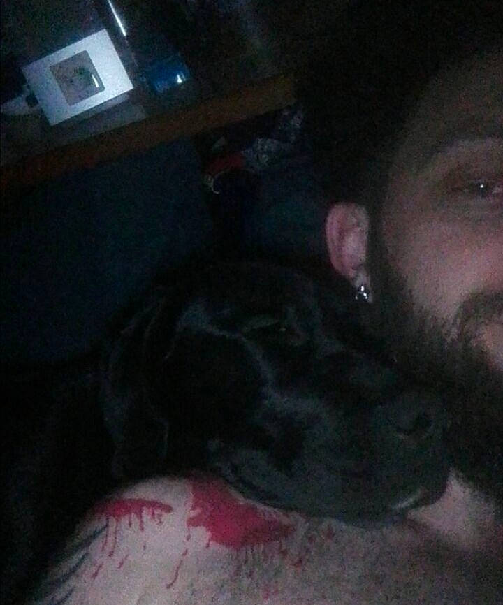 Banner participe au concours pour gagner de l'argent avec cette photo : beard, black_hair, canidae, carnivore, companion_dog, dog, dog_breed, eyebrow, facial_hair, interaction, love, mammal, moustache, picture_frame, selfie, skin, snout, sporting_group, working_animal, working_dog