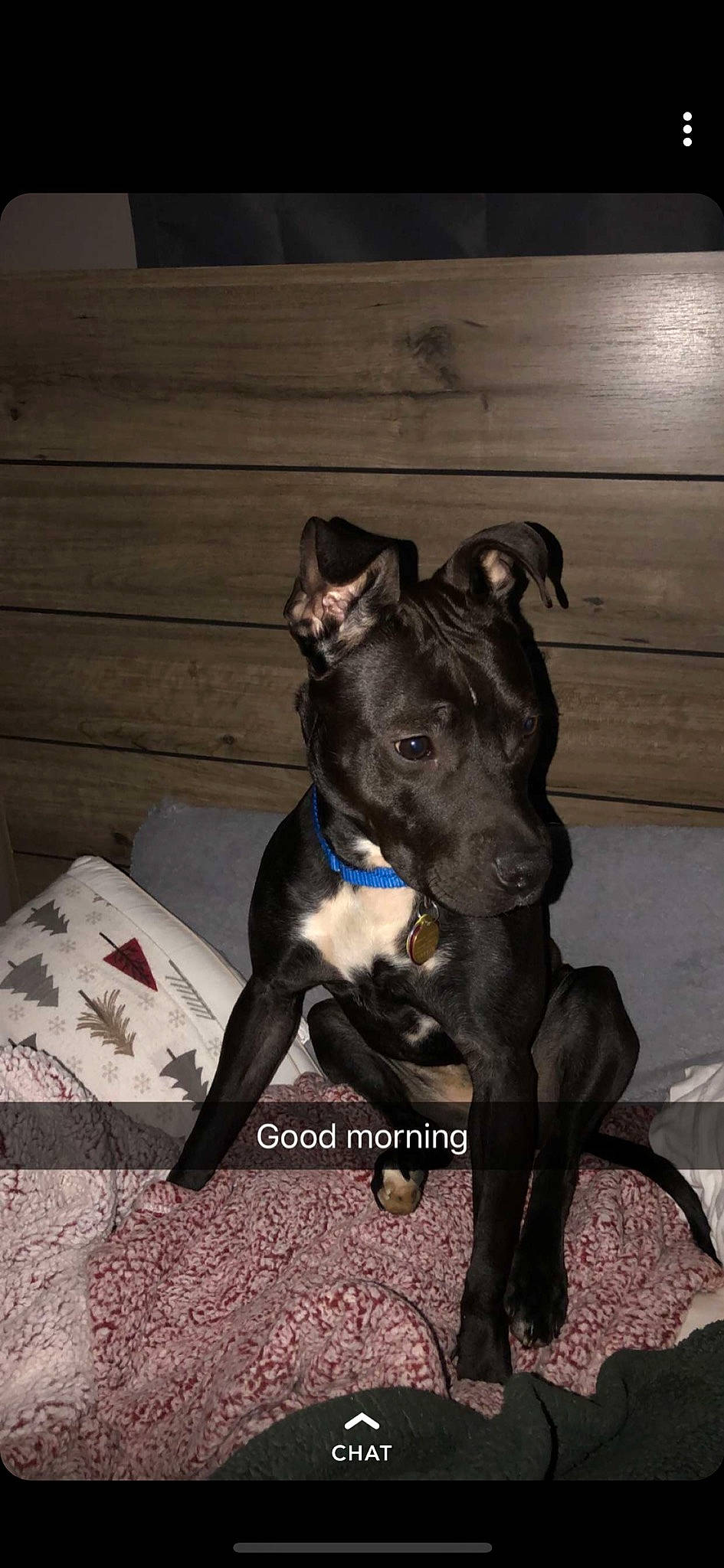 Wrangler is registered to the contest to win money with this photo: