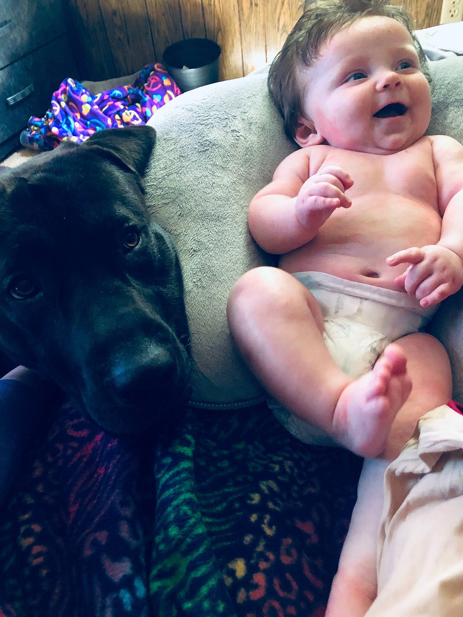 Lyle is registered to the contest to win money with this photo: baby, birth, canidae, cheek, child, eye, face, fawn, hand, head, leg, lip, mouth, nap, nose, person, skin, sleep, smile, toddler