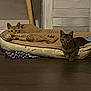 cat, cats, pet_bed, indoor, feline, animal, toy, cozy, relaxed, stretching, brown_cat, striped_cat, floor, home, comfortable, watching, resting, domestic_animal, cute, companion