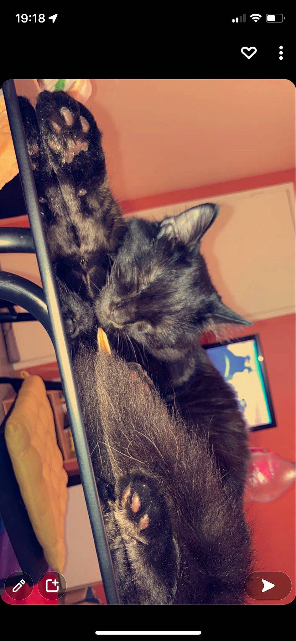 Cincinnati participe au concours pour gagner de l'argent avec cette photo : black_cat, carnivore, cat, claw, cloud, comfort, domestic_short_haired_cat, ear, felidae, fur, gesture, human_leg, lap, metal, paw, sitting, small_to_medium_sized_cats, snout, tail, whiskers