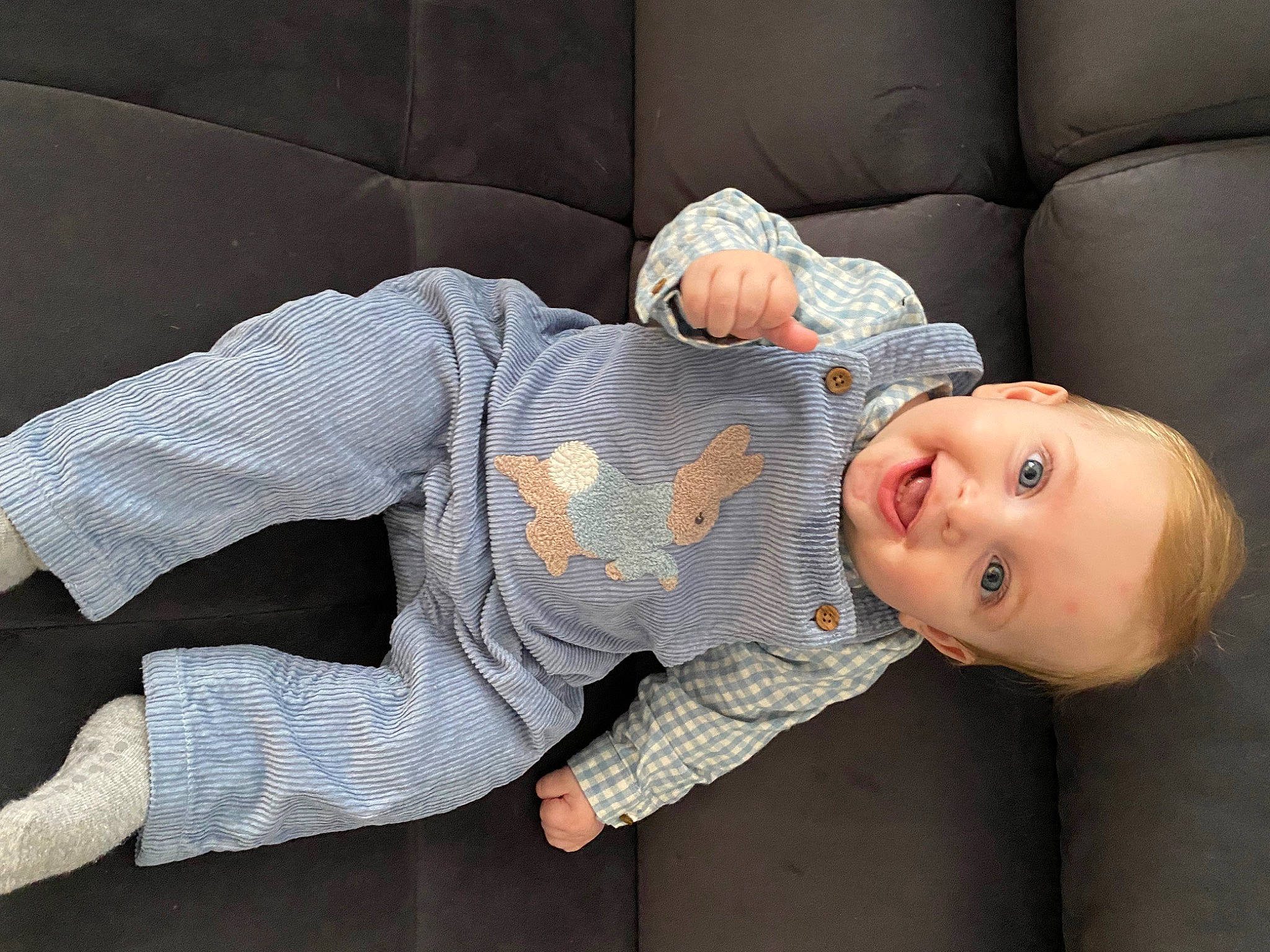 Léo participe au concours pour gagner de l'argent avec cette photo : baby, baby_toddler_clothing, comfort, couch, finger, flash_photography, flooring, grey, hair, head, human_body, joint, joy, lap, mouth, person, skin, sleeve, smile, textile