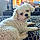Casper