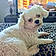 Casper