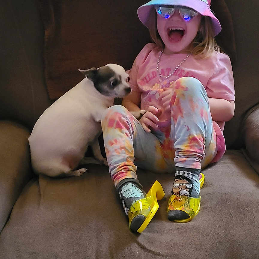 Claire Sue joined the competition — help win amazing prizes! accessories, animal, baby, canine, clothing, couch, dog, face, footwear, furniture, hat, head, jewelry, person, pet, photography, portrait, puppy, shoe, sunglasses