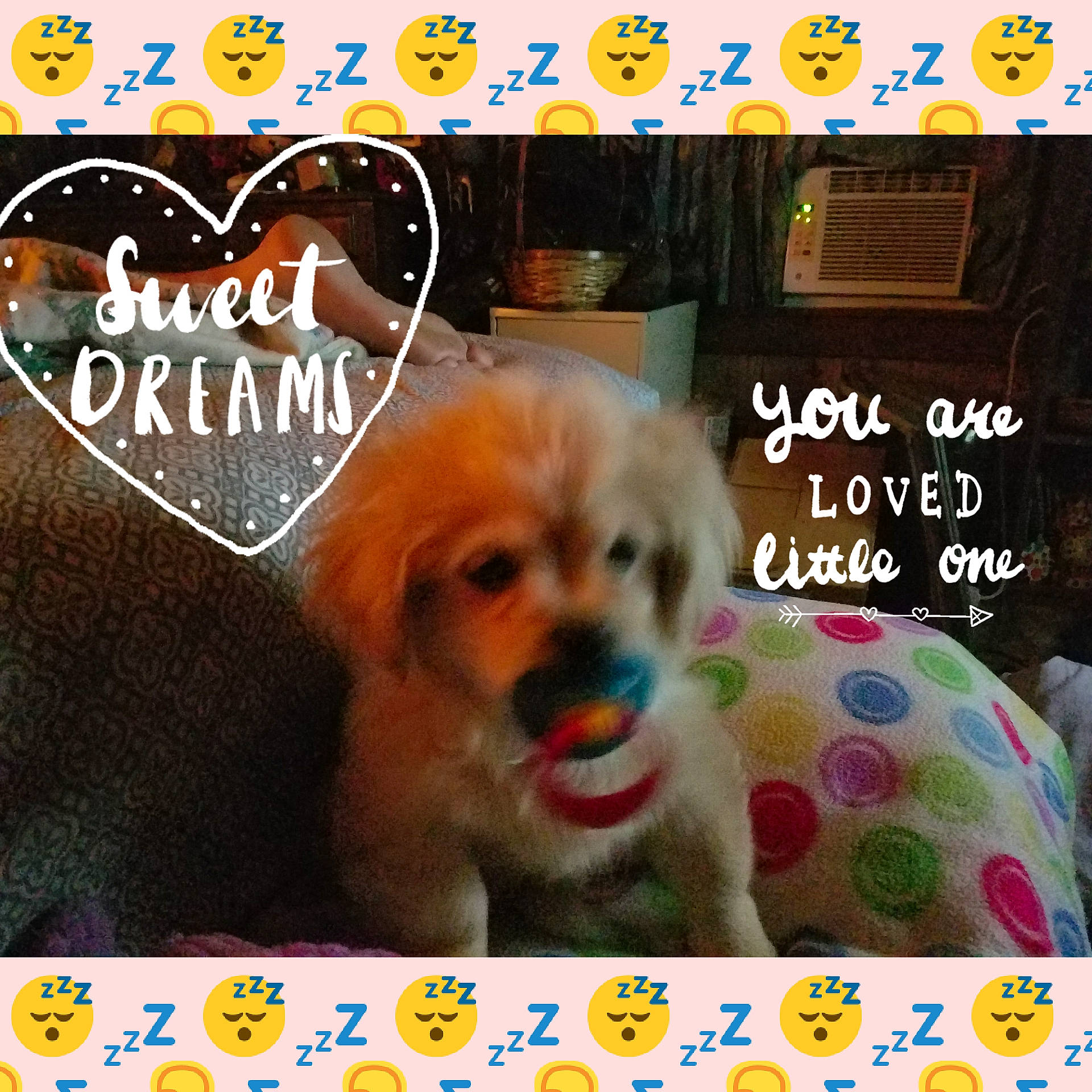 Dee-oh-gee is registered to the contest to win money with this photo: advertising, canidae, carnivore, companion_dog, dog, dog_breed, dog_supply, font, fur, handwriting, happy, pattern, paw, pet_supply, photo_caption, puppy_love, sporting_group, toy_dog