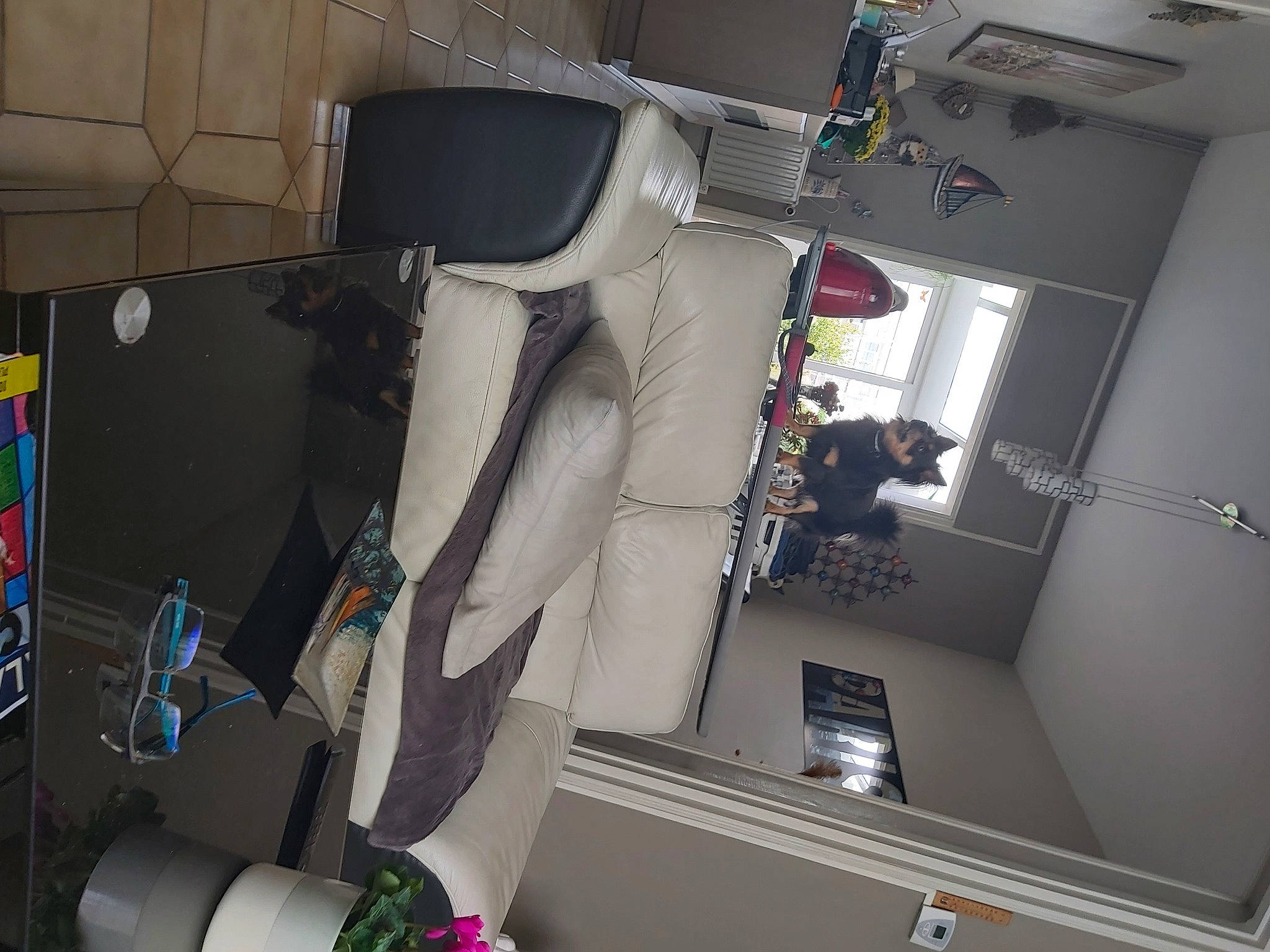 Ruben participe au concours pour gagner de l'argent avec cette photo : art, auto_part, automotive_design, ceiling, machine, plant, room, space, transport, window