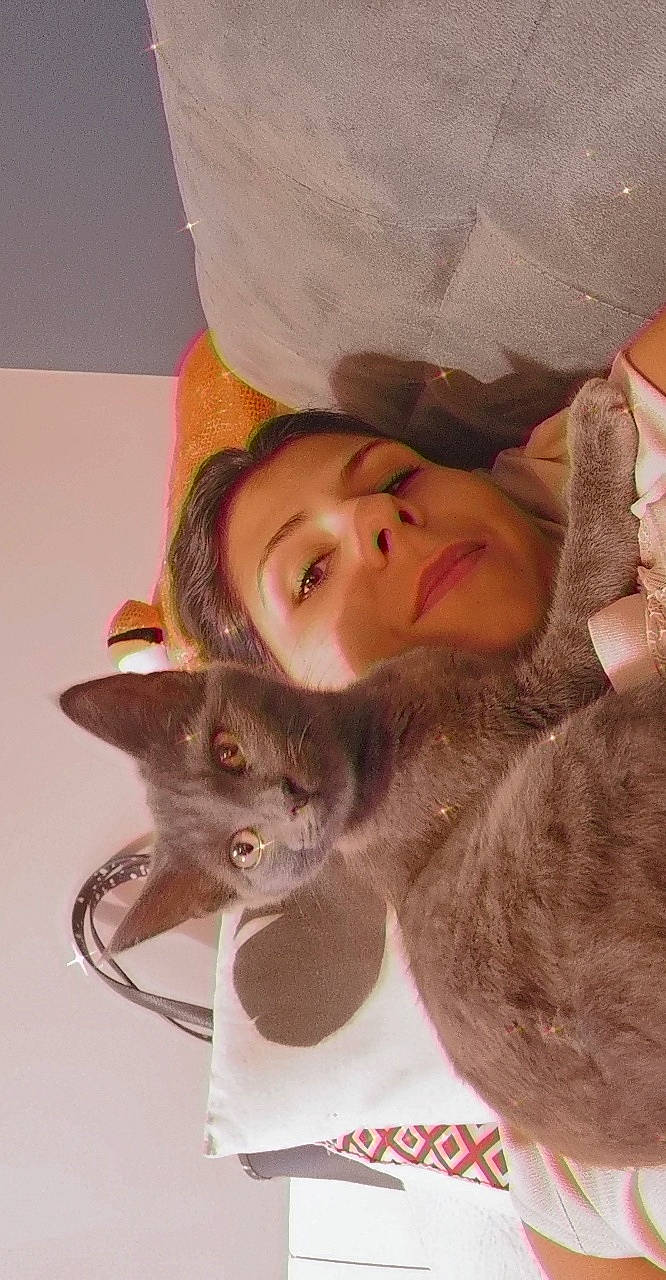 Kiara participe au concours pour gagner de l'argent avec cette photo : carnivore, cat, comfort, ear, eye, eyelash, fawn, felidae, gesture, hairstyle, happy, head, mammal, neck, skin, small_to_medium_sized_cats, smile, snout, vertebrate, whiskers