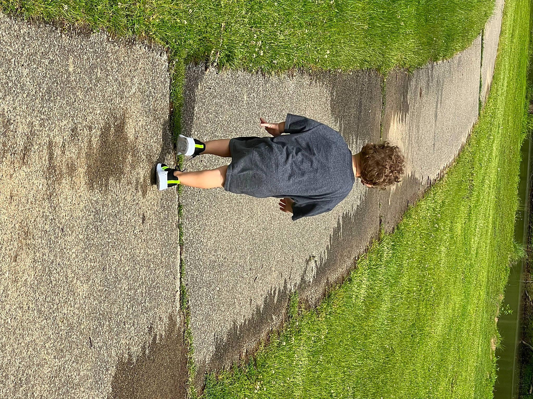 Malakai joined the competition — help win amazing prizes! asphalt, concrete, flooring, fun, grass, grass_family, grassland, landscape, leisure, people_in_nature, person, plant, recreation, shadow, shrub, sidewalk, slope, soil, tints_and_shades, tree