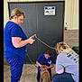 dog, person, leash, blue_scrubs, pink_harness, concrete_floor, black_door, notice_sign, shorts, sneakers, tattoo, hair_tied_back, outdoor, building_wall, crouching, standing, kneeling, interaction, pet_care, casual_clothing