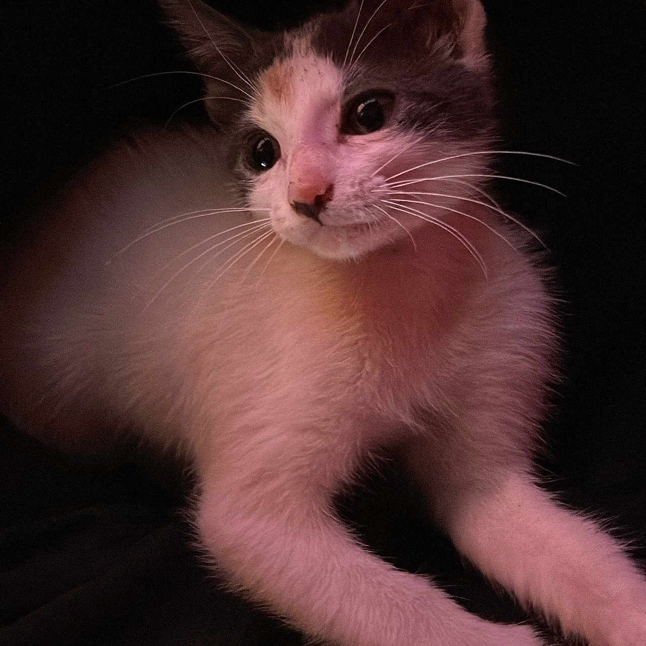 Aiko