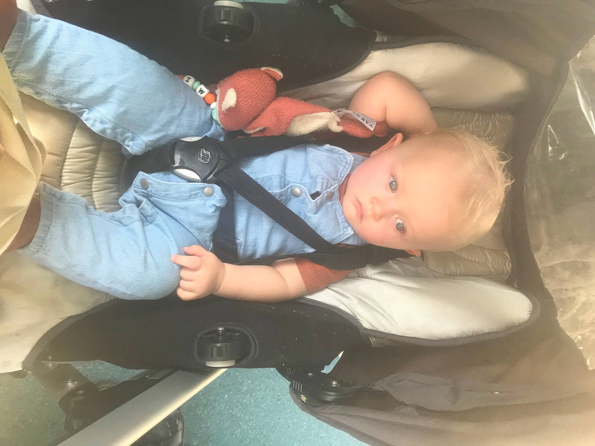 Milo participe au concours pour gagner de l'argent avec cette photo : auto_part, automotive_design, baby, baby_carriage, car, car_seat, car_seat_cover, child, comfort, family_car, finger, fun, gesture, lap, luxury_vehicle, motor_vehicle, person, sitting, toddler, tree