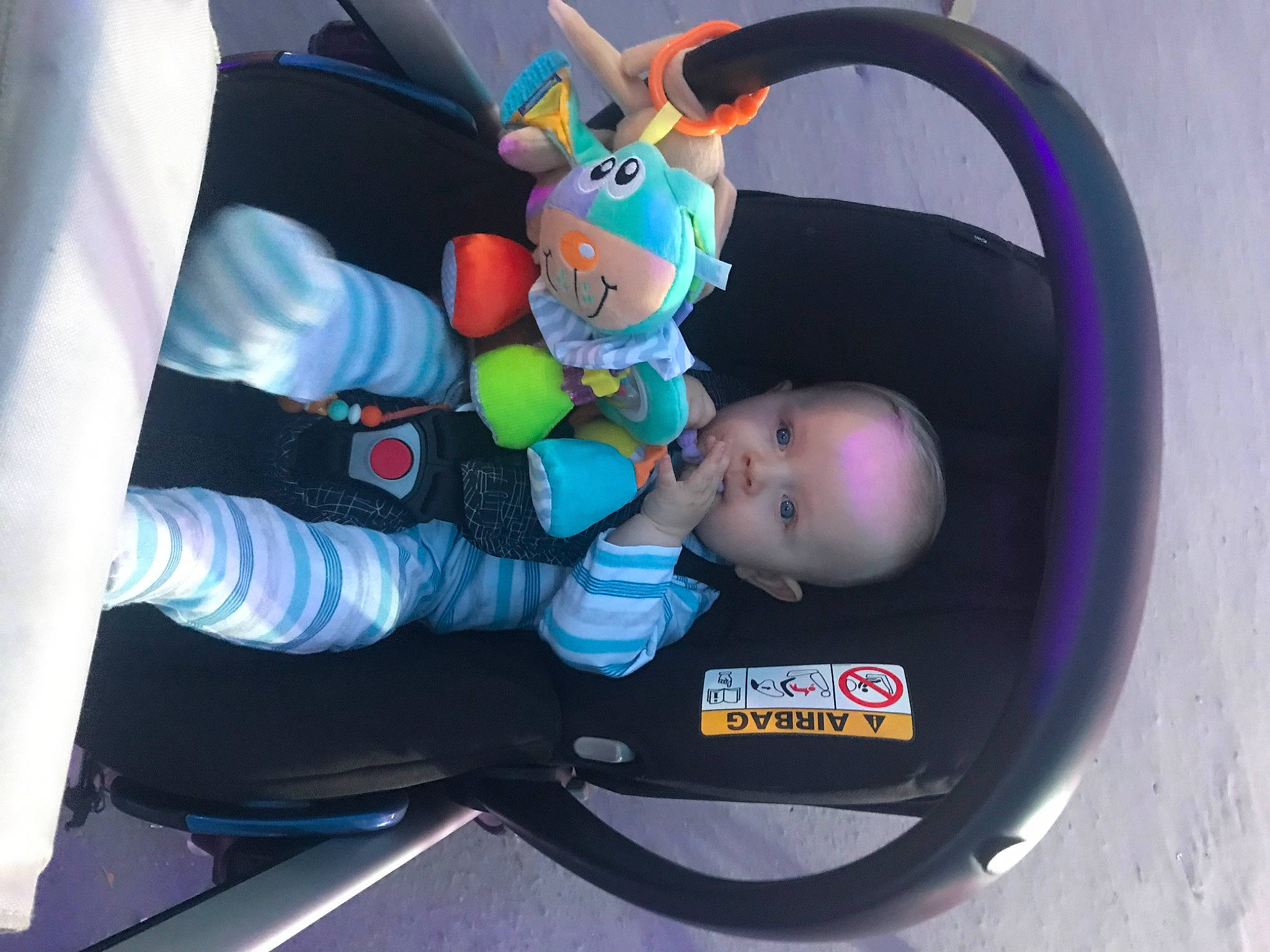 Milo a rejoint le concours — aidez-le/la à gagner de superbes lots ! auto_part, baby, baby_carriage, baby_in_car_seat, baby_products, baby_safety, baby_toddler_clothing, baby_toys, car_seat, child, comfort, family_car, fictional_character, fun, person, personal_protective_equipment, product, stuffed_toy, toddler, toy