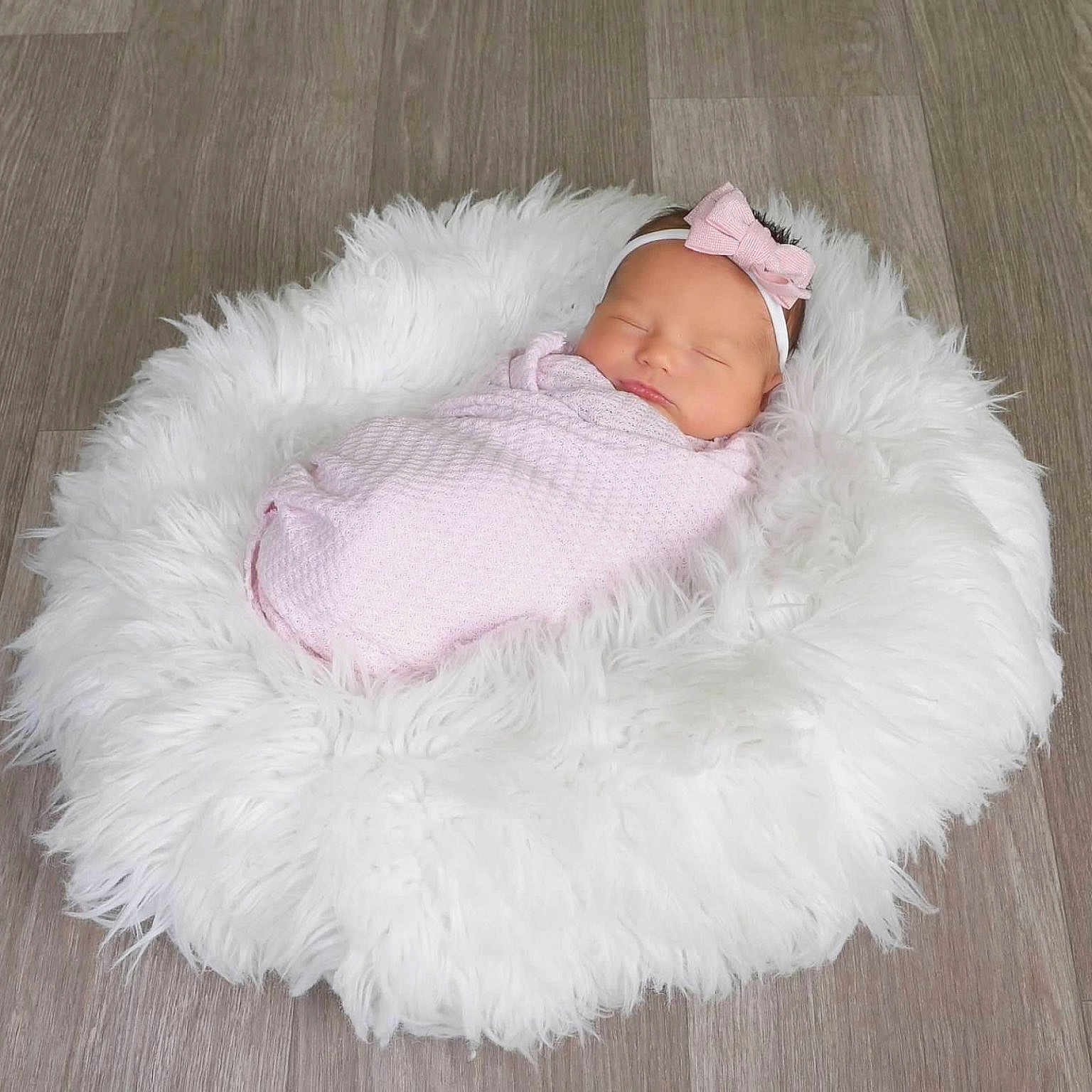 Gwynevere joined the competition — help win amazing prizes! animal, baby, blanket, canine, dog, dogbed, homedecor, infantbed, newborn, person, pet, photography, sleeping