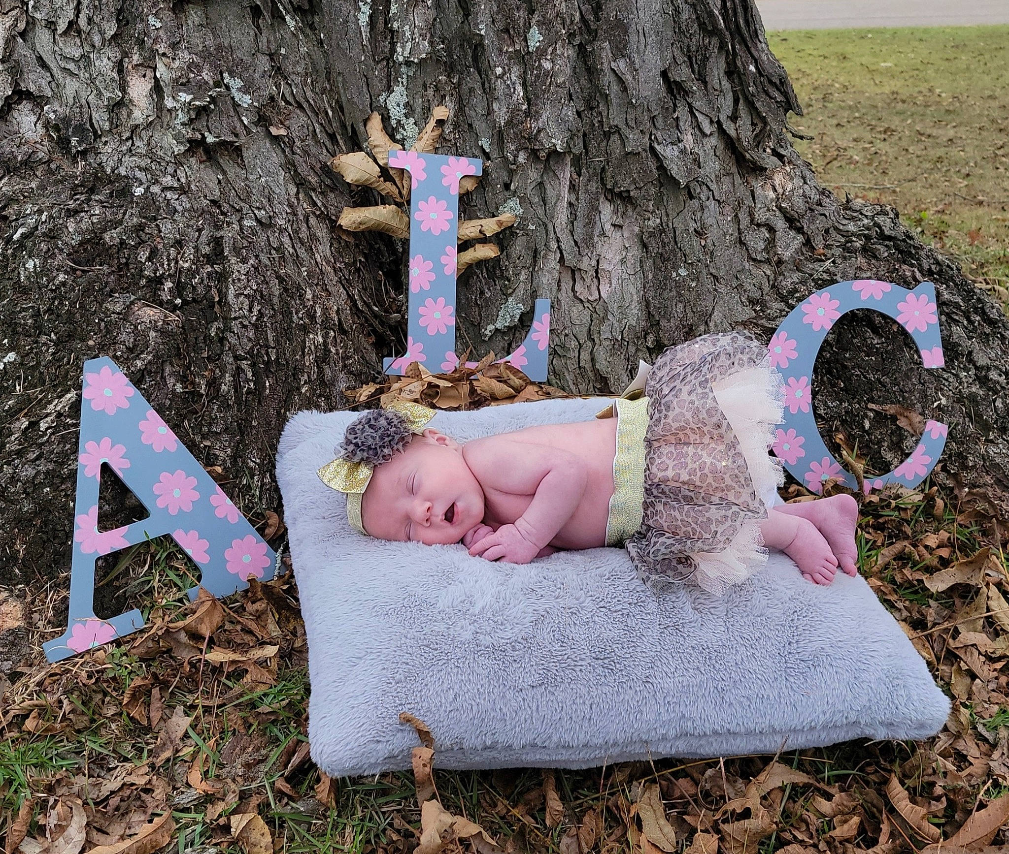 Anais joined the competition — help win amazing prizes! arm, fashion, fawn, fun, grass, grass_family, hairstyle, hand, happy, headwear, human_body, leg, leisure, magenta, people_in_nature, person, pink, plant, tree, trunk