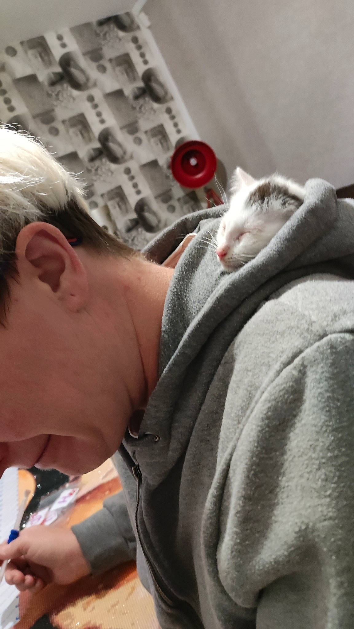 Paul participe au concours pour gagner de l'argent avec cette photo : carnivore, cat, child, comfort, domestic_short_haired_cat, drinking, felidae, fur, linens, paw, room, sitting, small_to_medium_sized_cats, whiskers