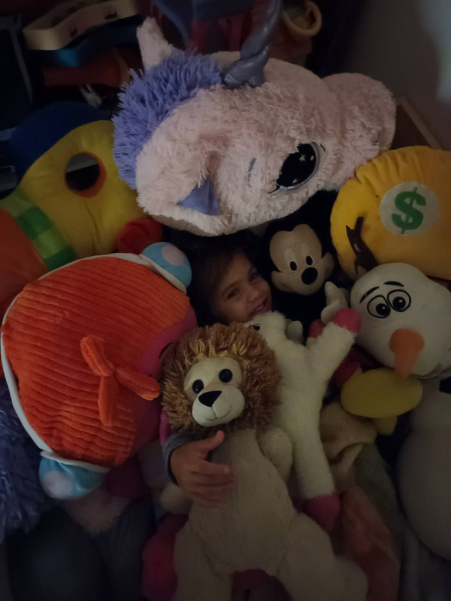 Maë participe au concours pour gagner de l'argent avec cette photo : art, baby_toys, child, collection, comfort, fun, fur, joy, person, plush, room, stuffed_toy, teddy_bear, textile, toy, under_exposed, wood, wool